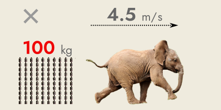 Dumbo the baby elephant running.