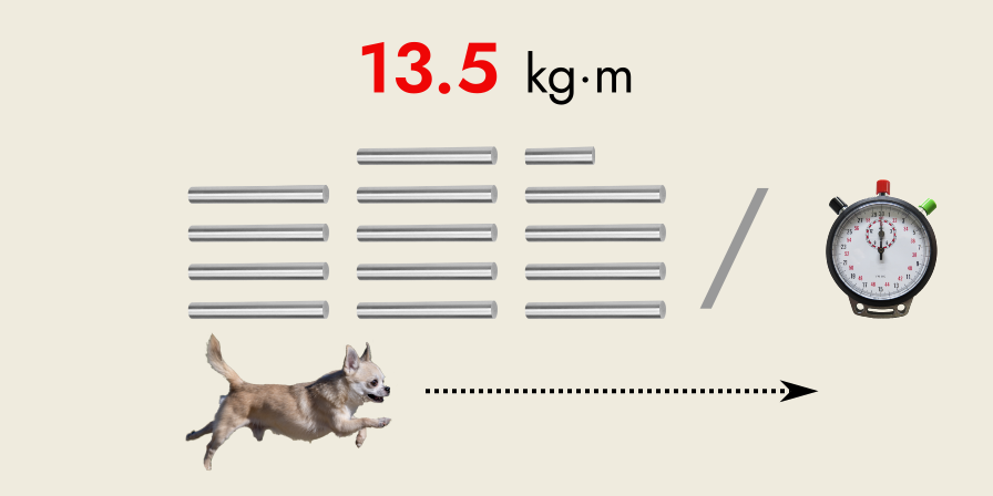 Chico’s momentum as 13.5 kilogram-metres per second