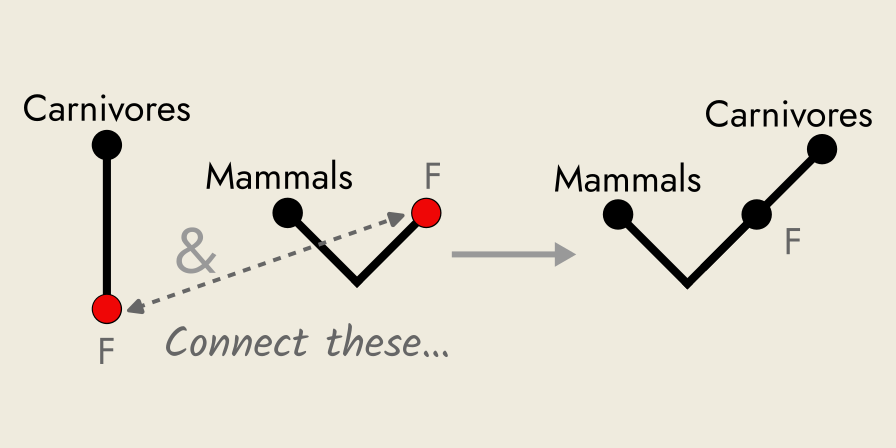Rickert diagram of Darii syllogism.