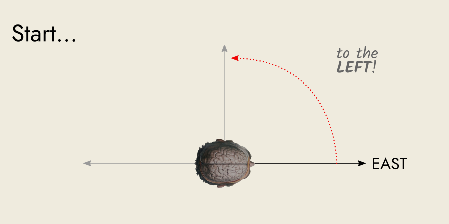 a man's head faces East, about to turn left
