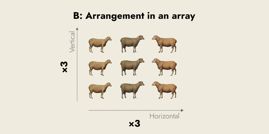 nine sheep laid out in three rows and three columns