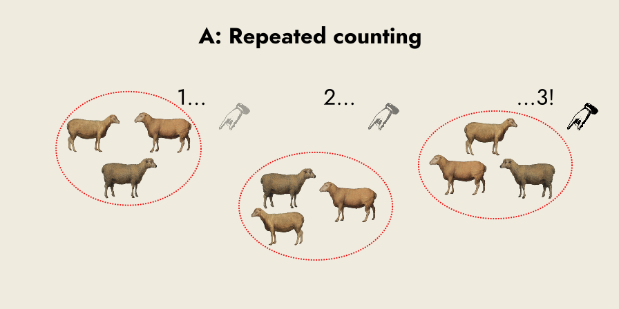 nine sheep counted in groups of three